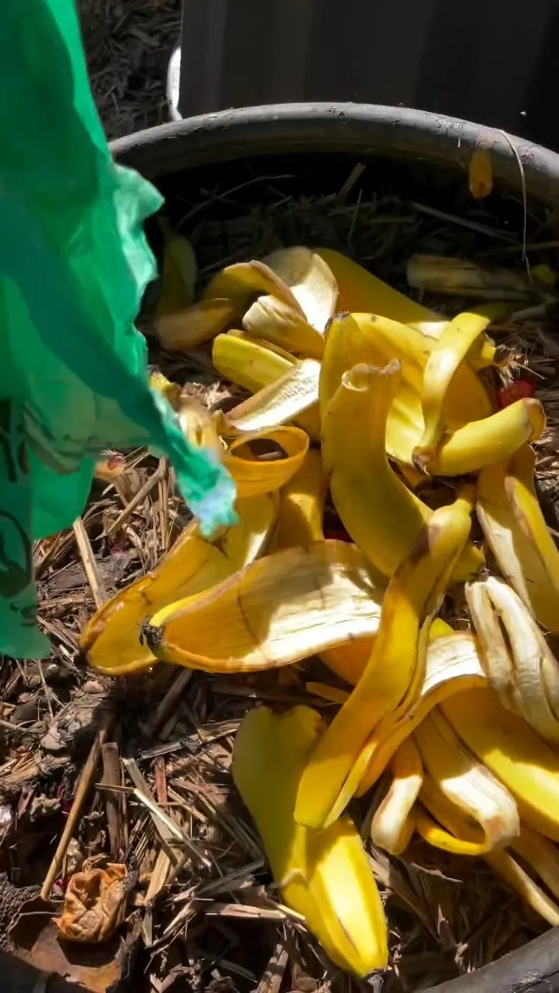 Banana Peels