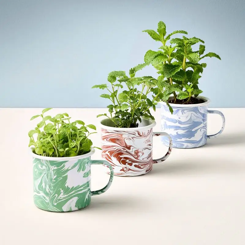 Basil
