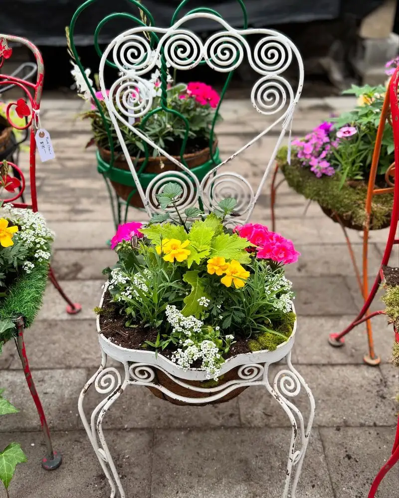 Basket Chair Succulent Garden
