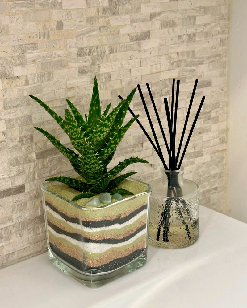 Bathroom Plant Displays