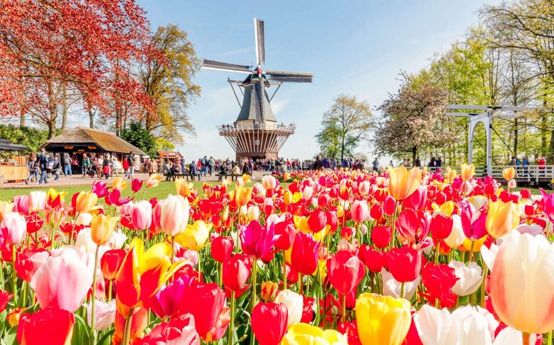 Batumi Flower Festival