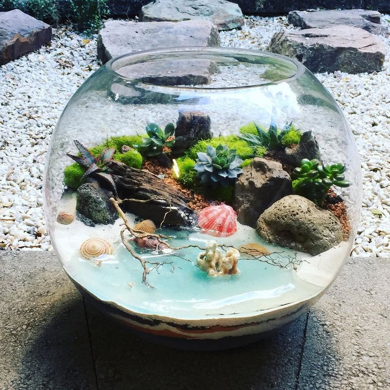 Beach Escape Terrarium