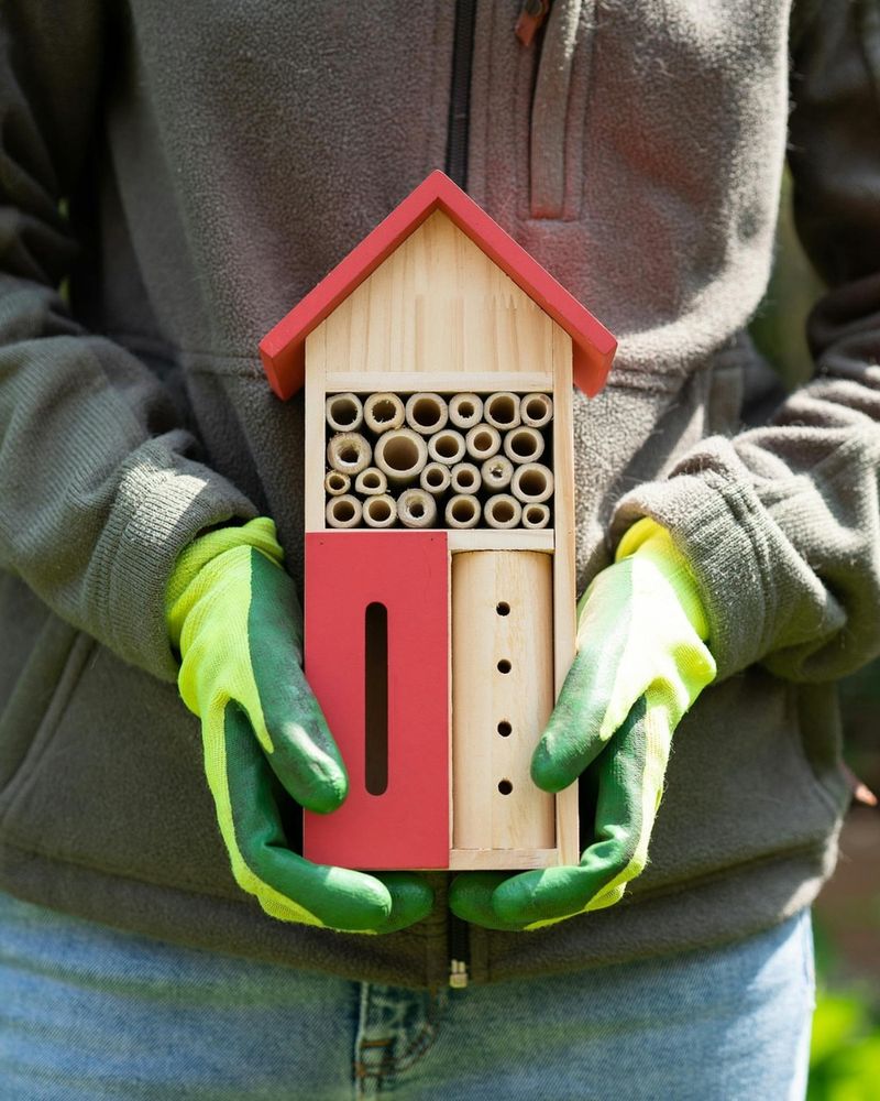 Bee House