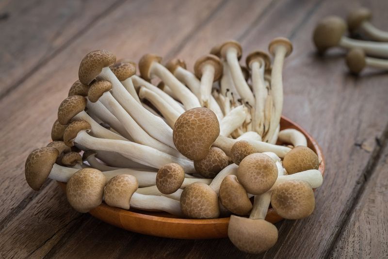 Beech Mushroom