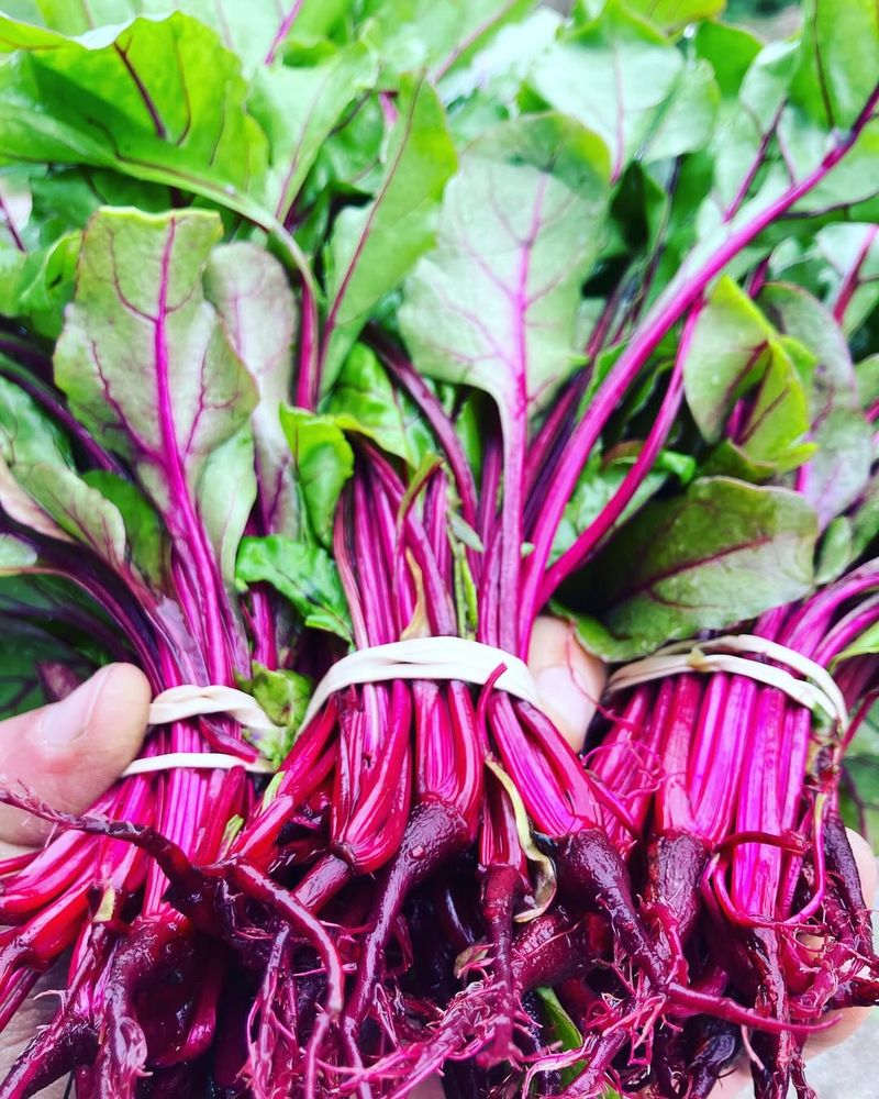 Beet Greens