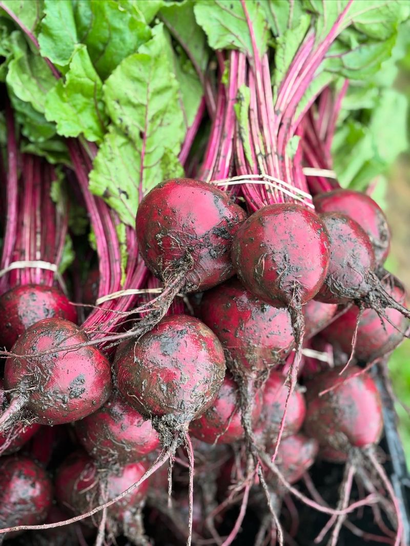 Beets