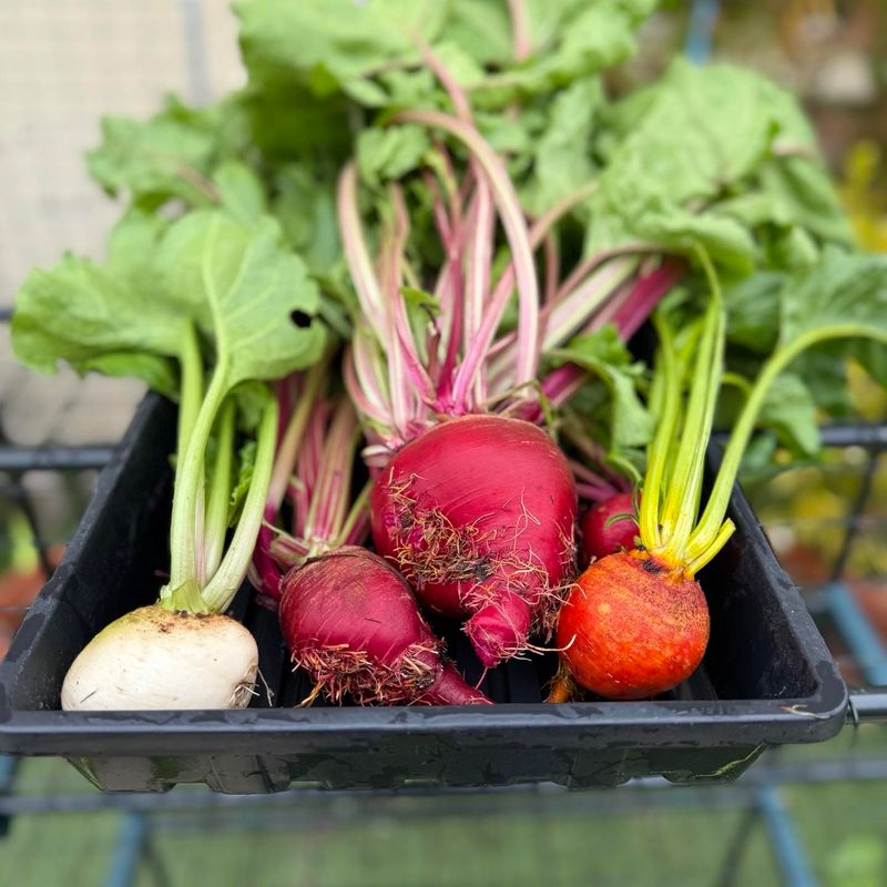 Beets