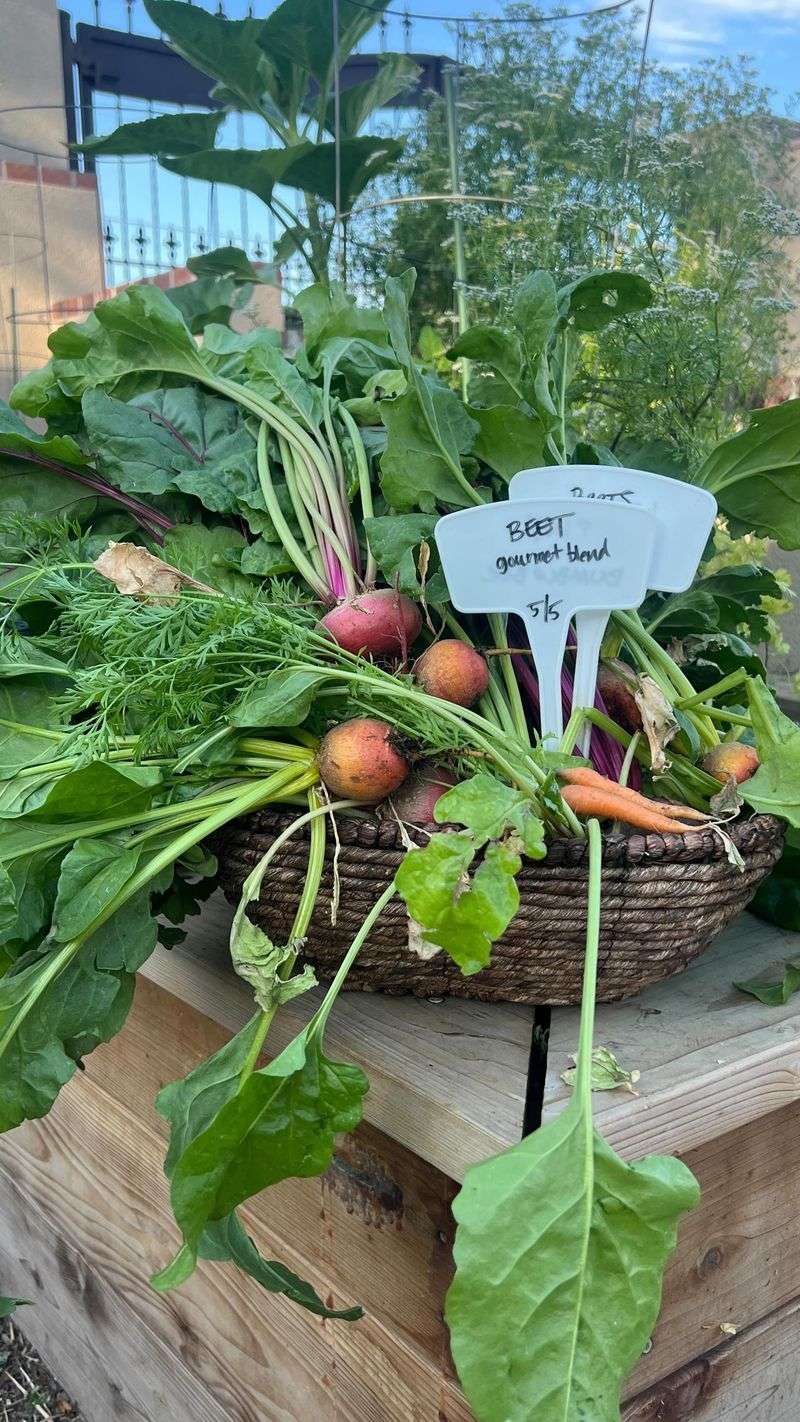 Beets