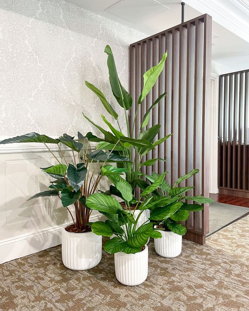 Benefits of Grouping Plants