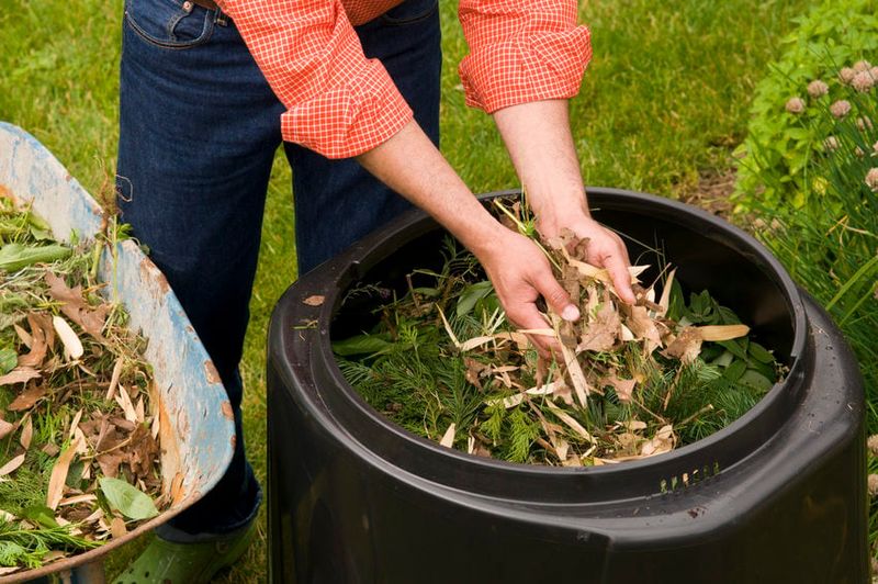 Better Way 1: Composting for Soil Health