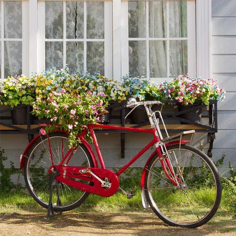 Bicycle Basket Planter