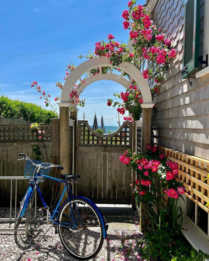 Bicycle Wheel Trellis