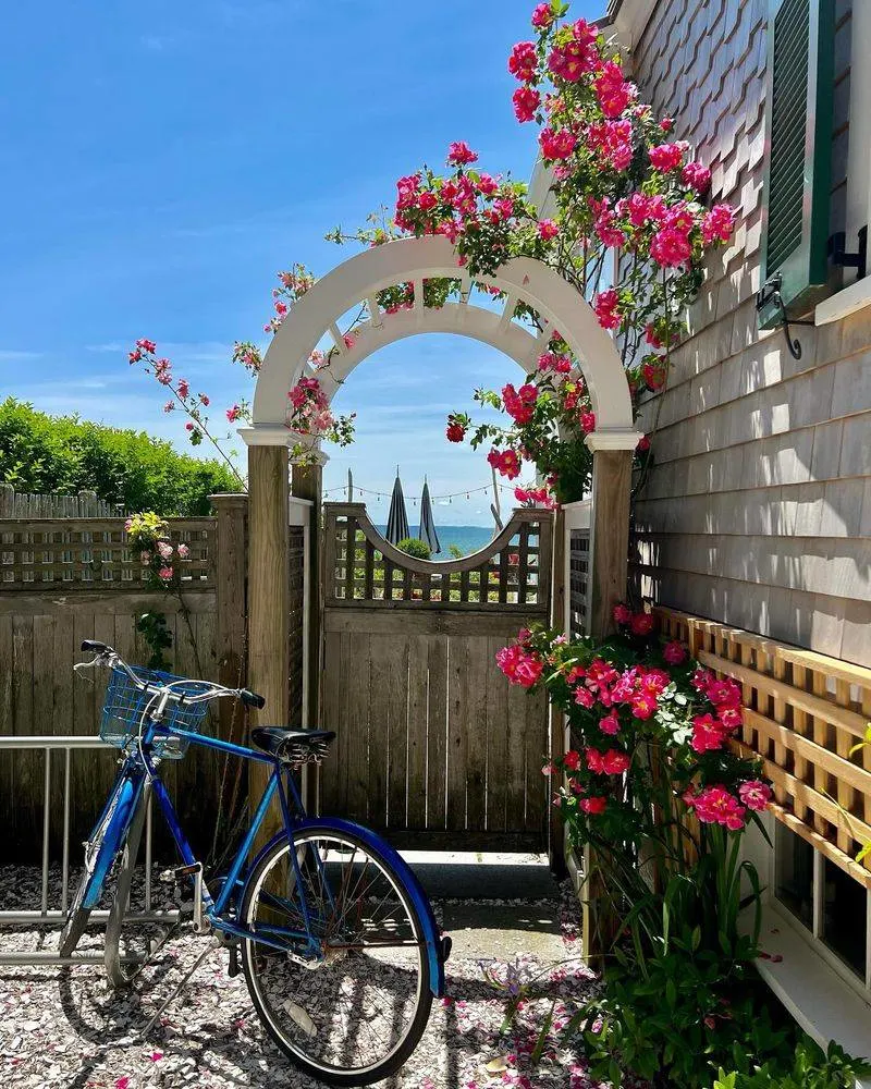 Bicycle Wheel Trellis
