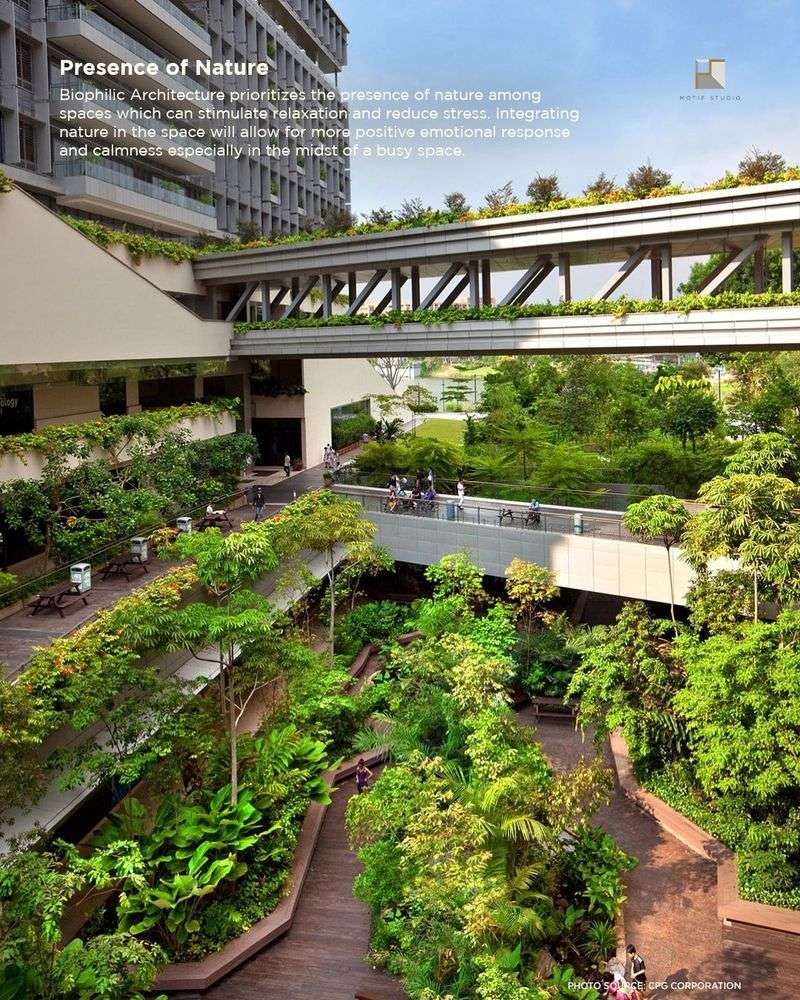 Biophilic Architecture