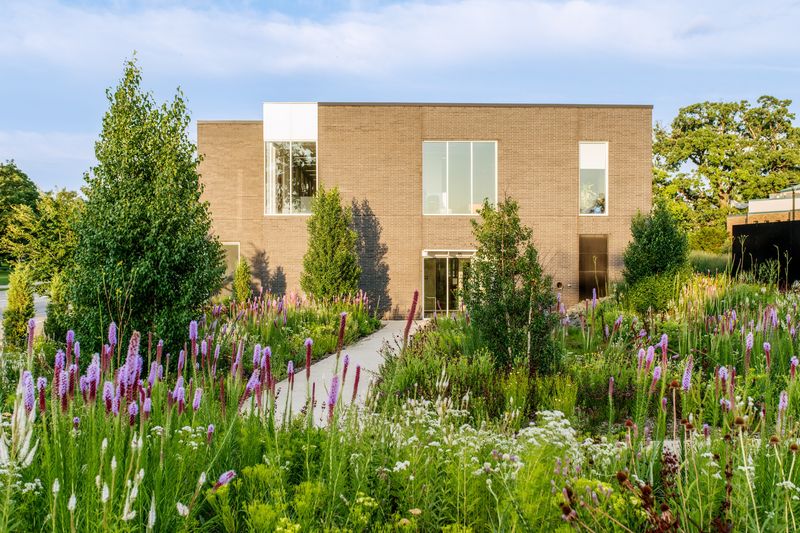 Bioswales