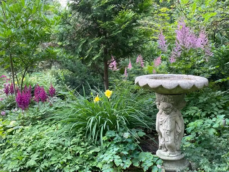 Bird Bath