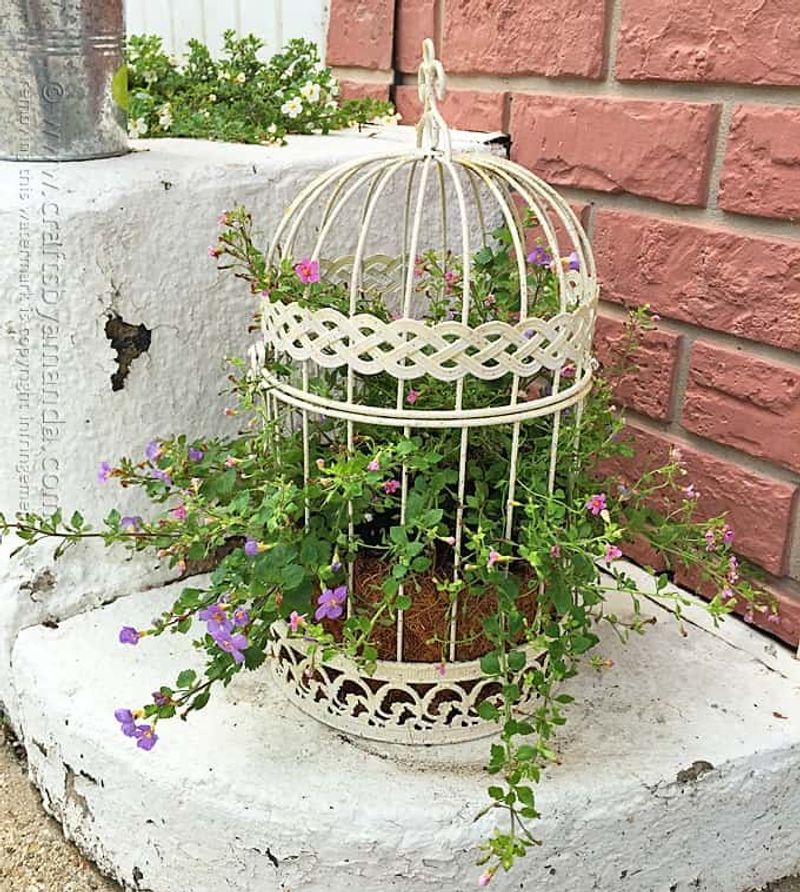 Birdcage Planter