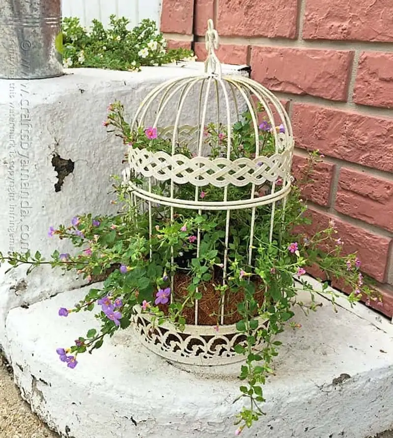 Birdcage Planter