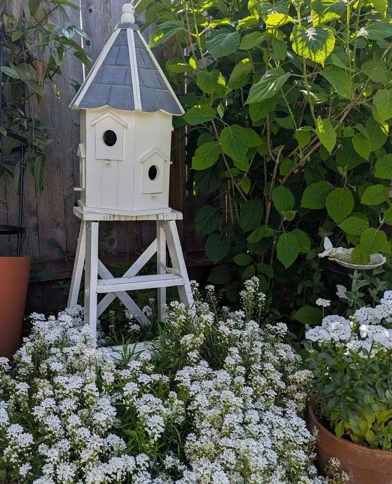 Birdhouse Planters