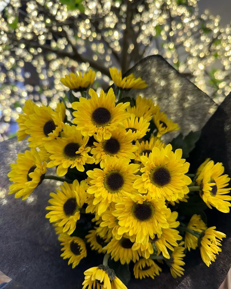 Black-eyed Susans