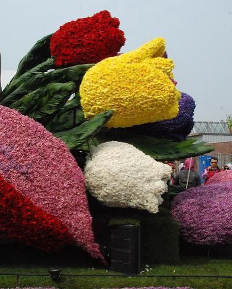 Bloemencorso Bollenstreek
