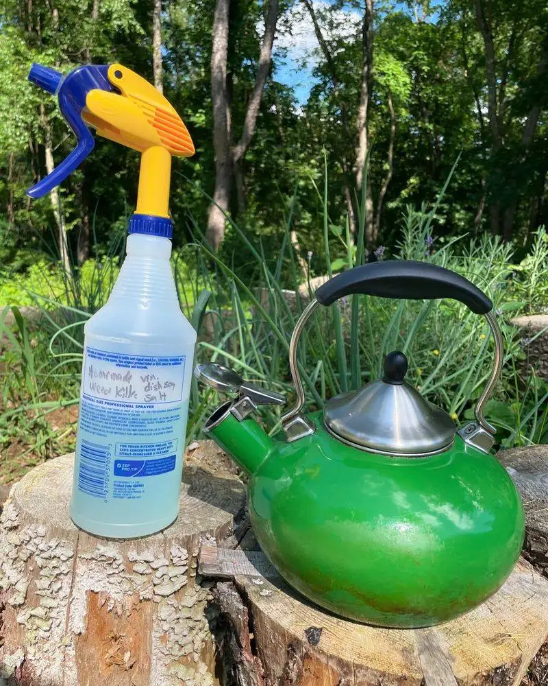 Boiling Water