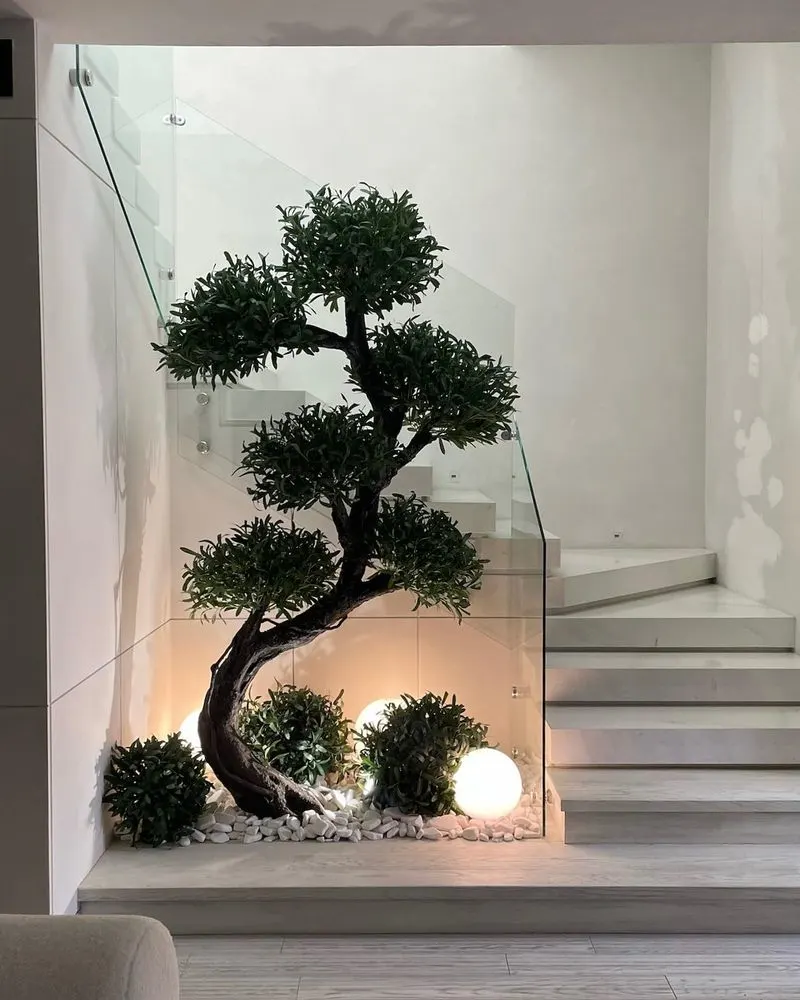 Bonsai Tree