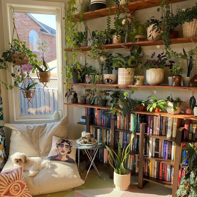 Bookshelf Greenery