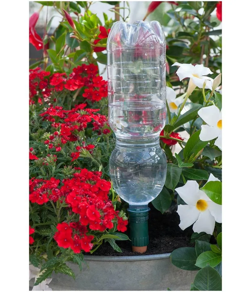 Bottle Watering Globes