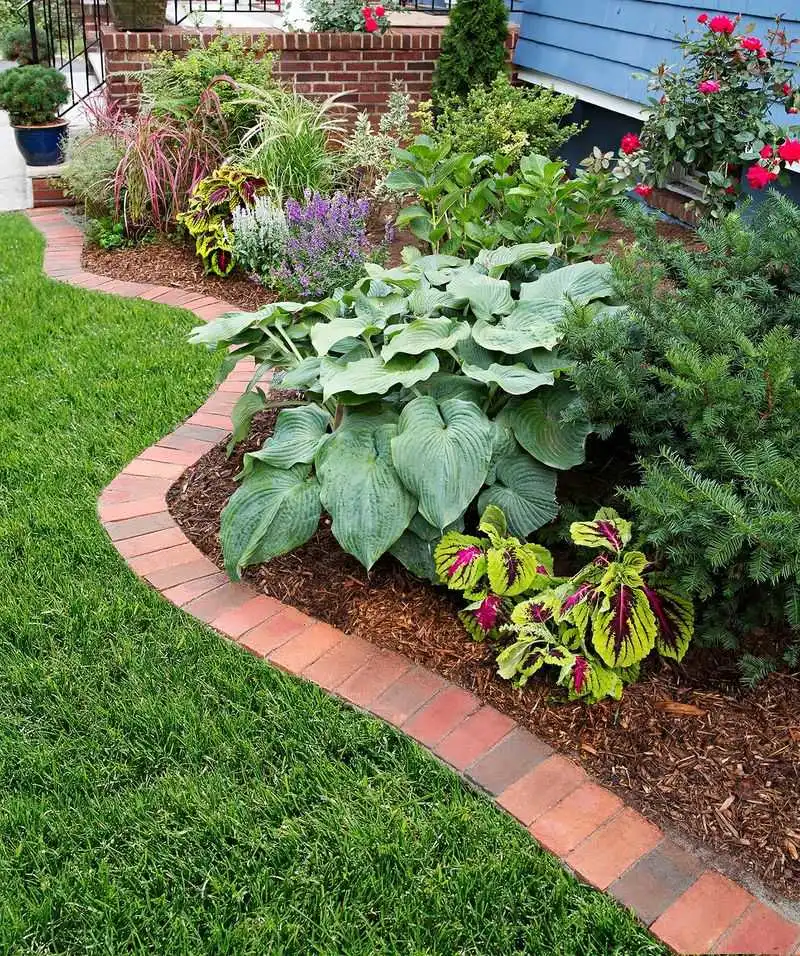 Brick Borders