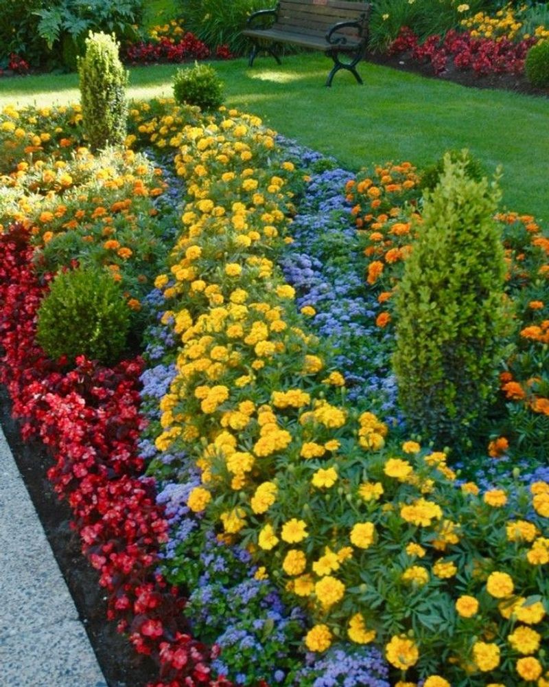 Brightly Colored Flowers