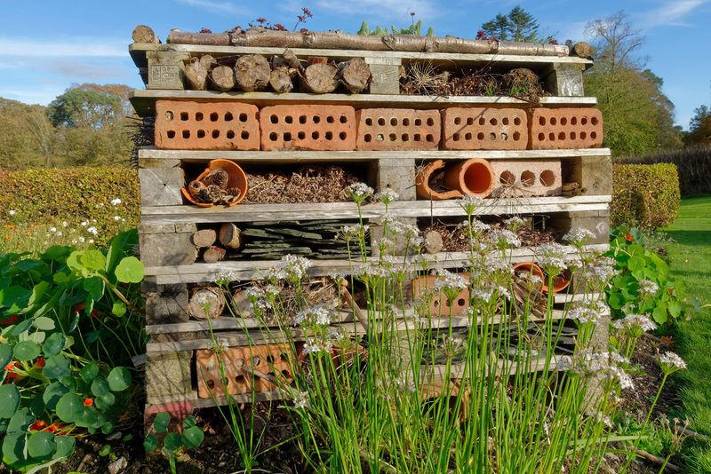 Bug Hotel from Twigs and Leaves