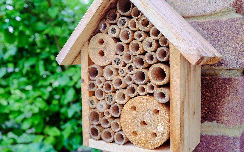 Build Bee Hotels
