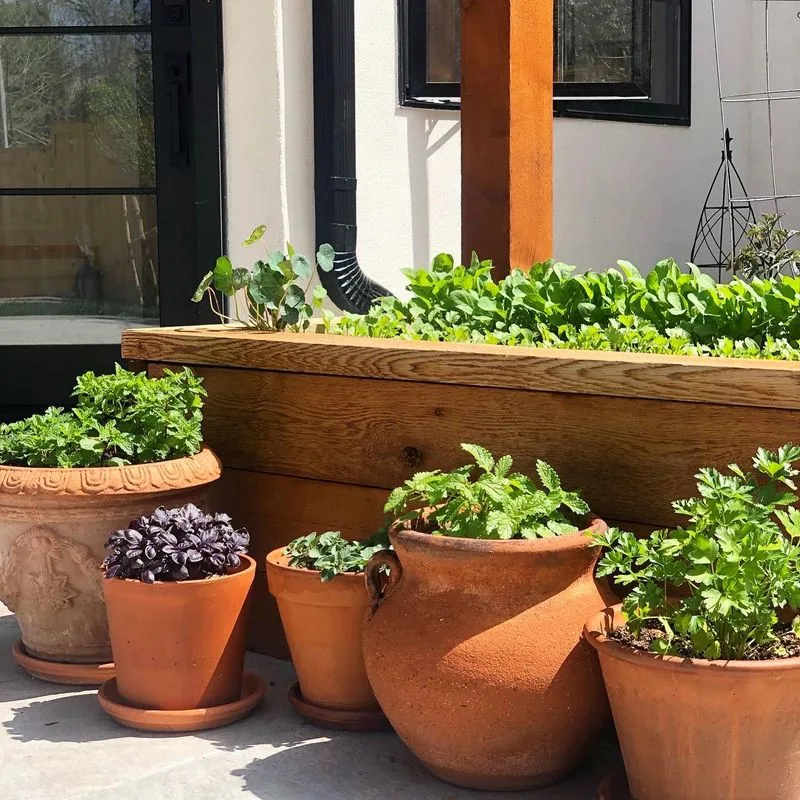 Bury Clay Pots