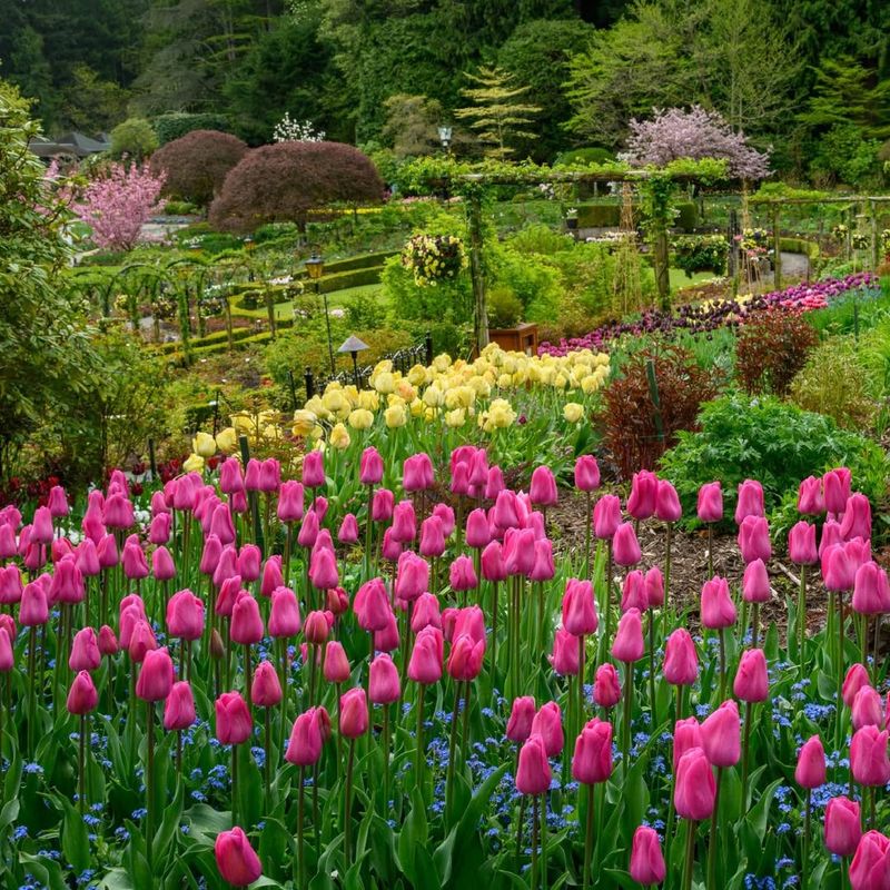 Butchart Gardens
