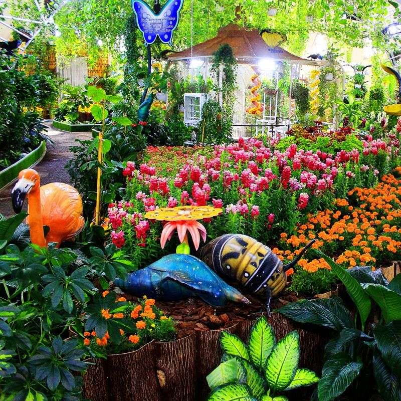 Butterfly Garden