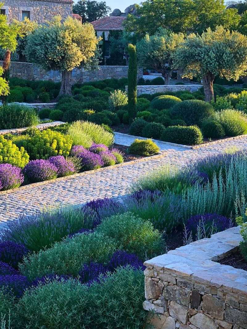 Mediterranean Marvel