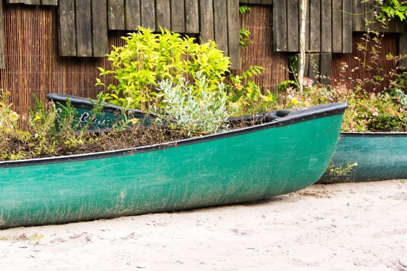 Canoe Planter