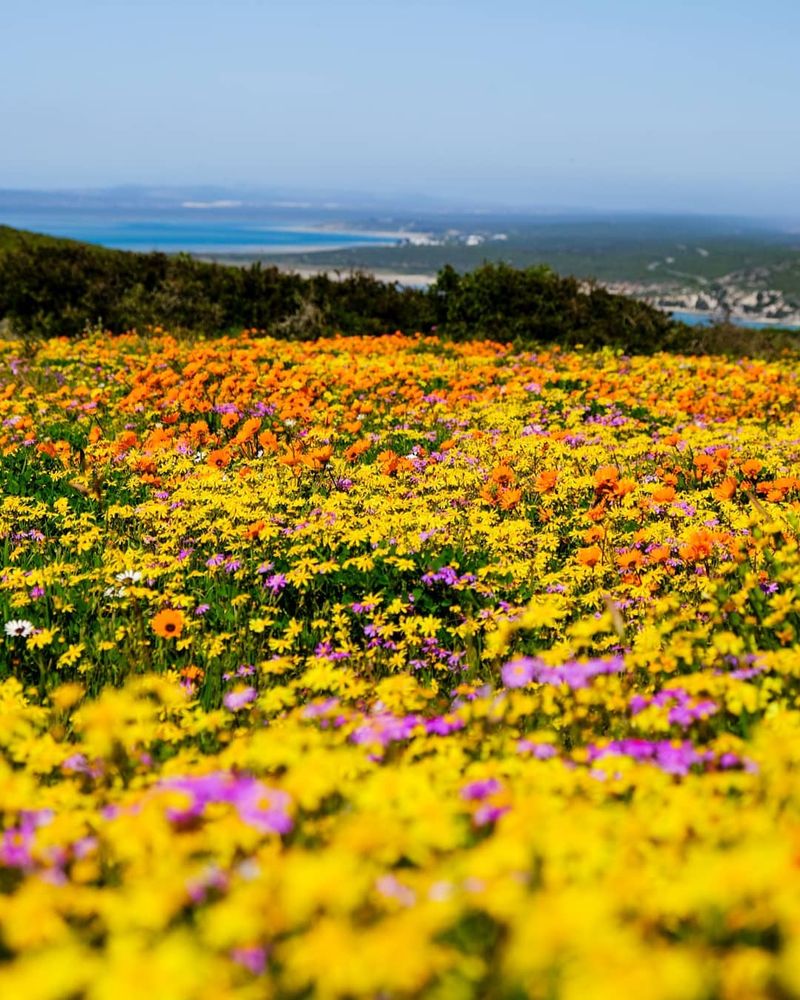 Cape Town, South Africa