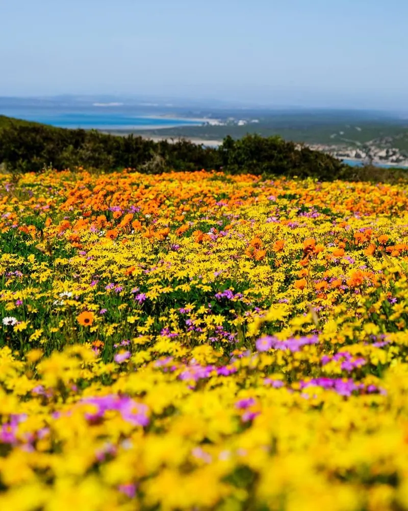 Cape Town, South Africa