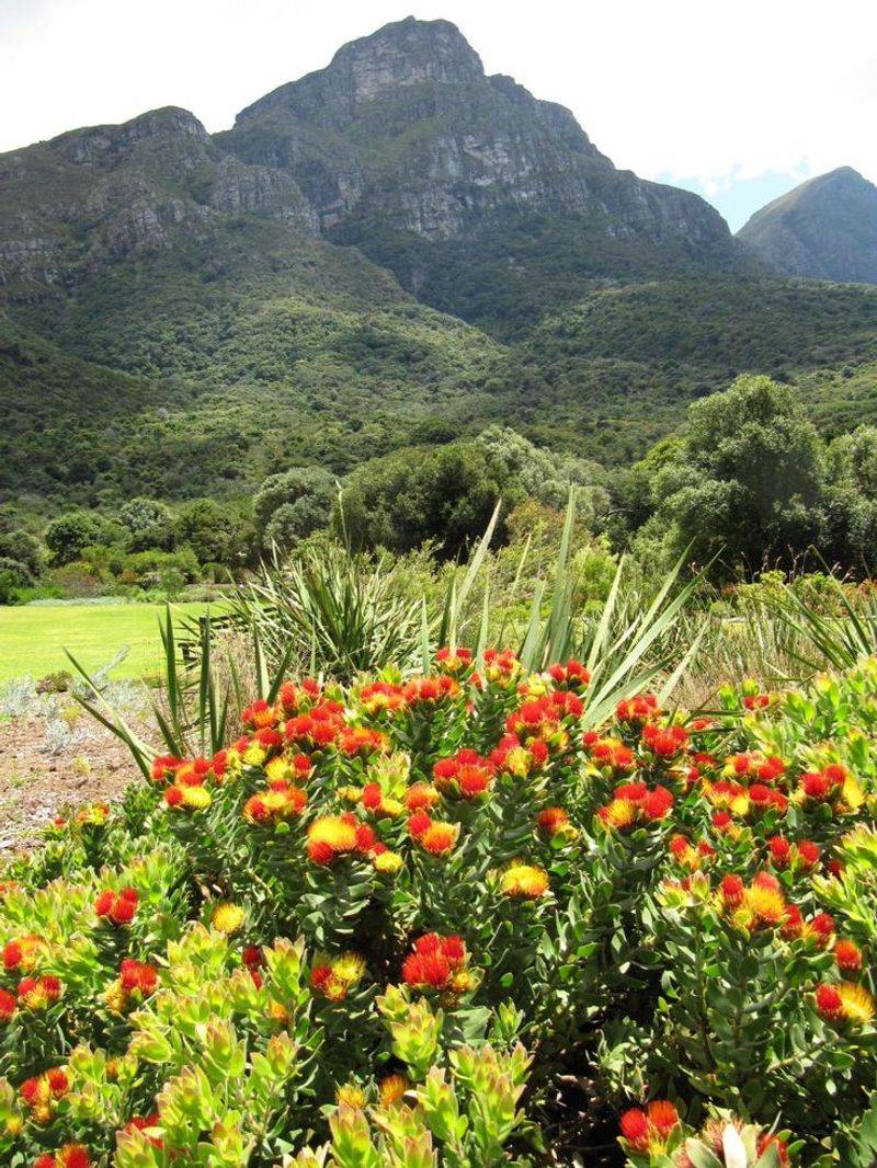 Cape Town, South Africa