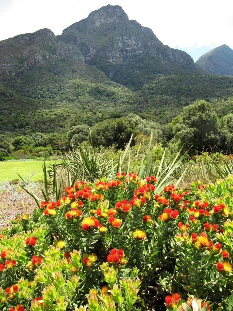 Cape Town, South Africa