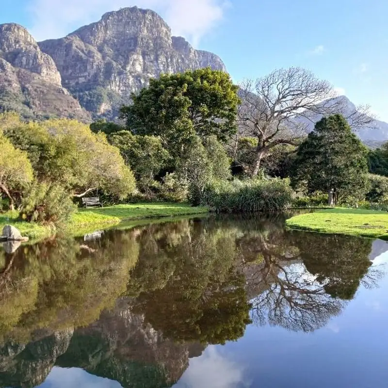 Cape Town's Kirstenbosch