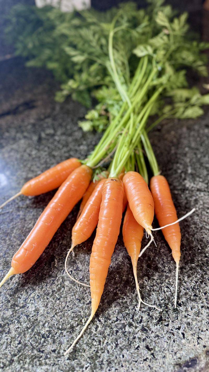 Carrot
