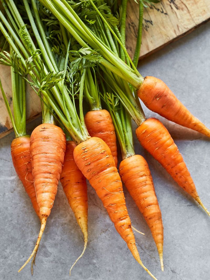 Carrot