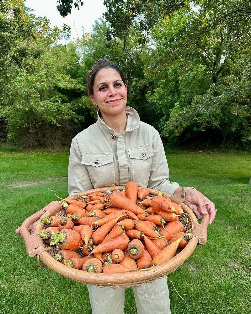 Carrot Conundrum