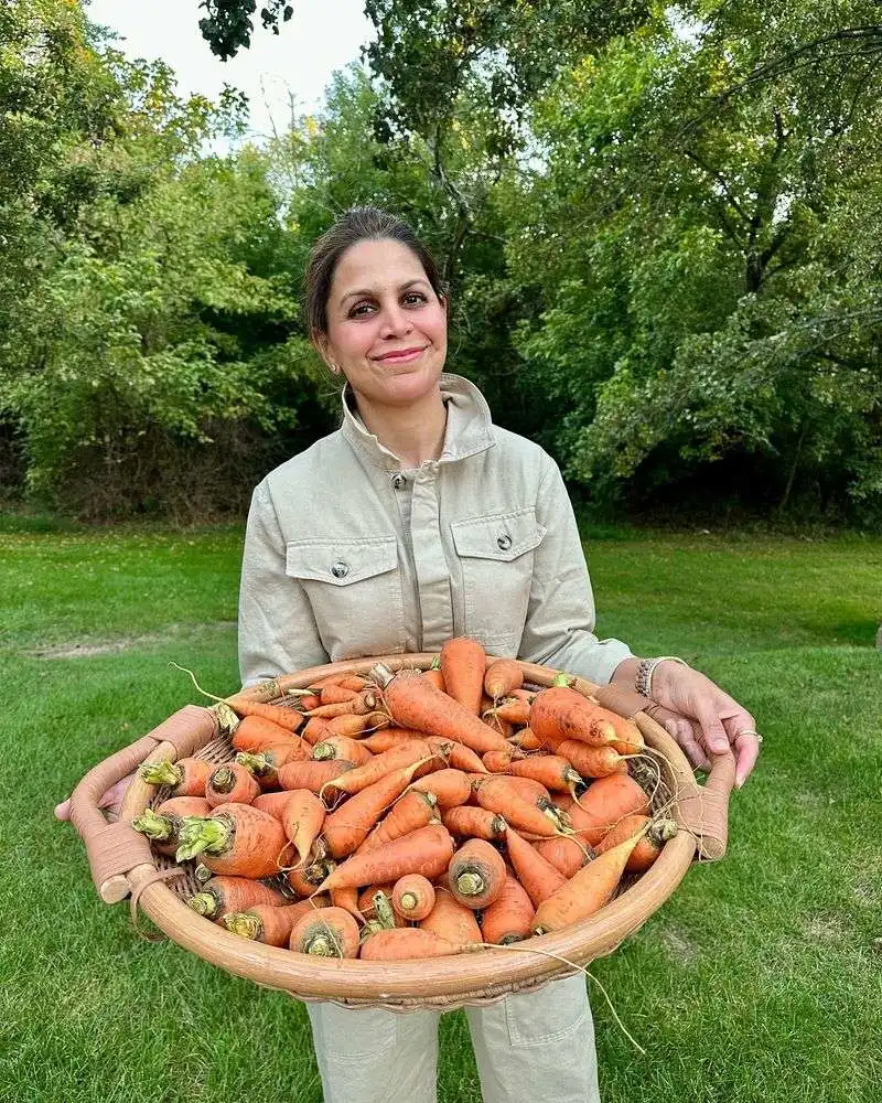 Carrot Conundrum