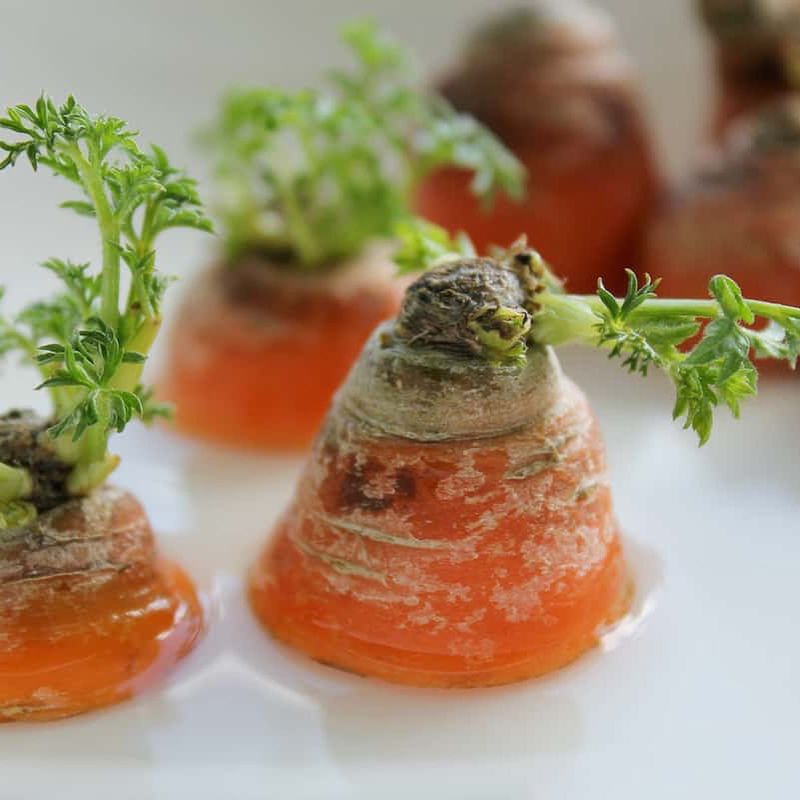 Carrot Tops Sprouting