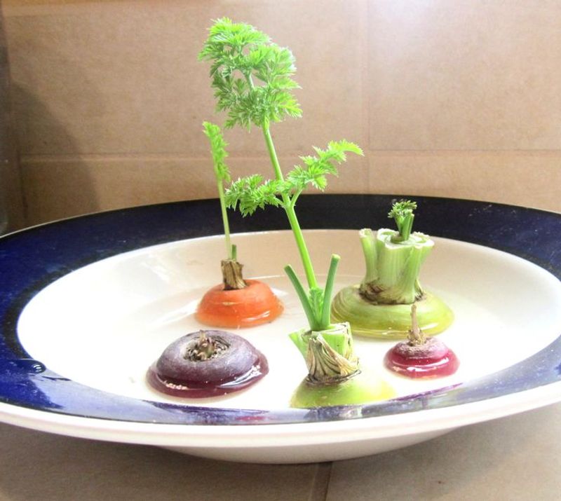 Carrot Tops