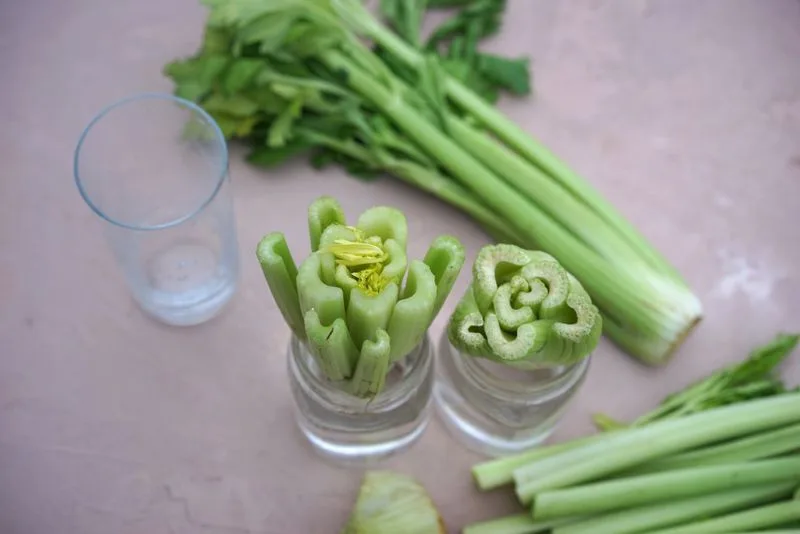 Celery